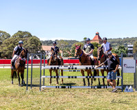 Showjumping
