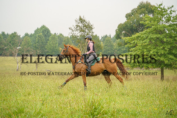 _AJG0367