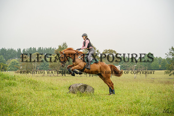 _AJG0368
