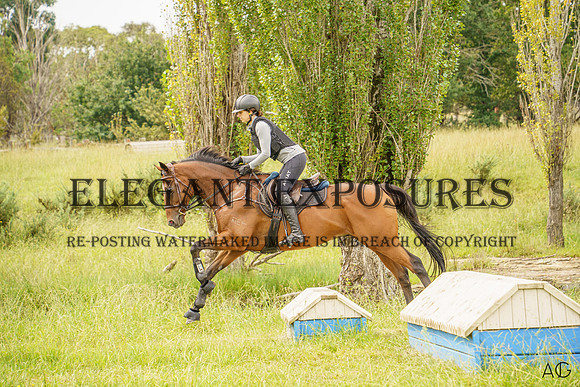 _AJG1380