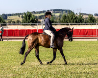 MAS_3305