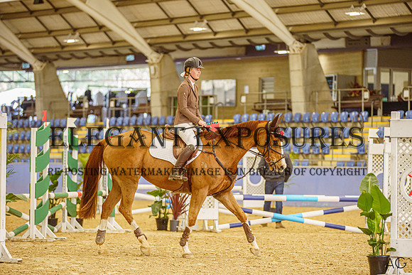 _AJG1201