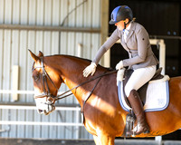 SPPHA - Dressage - Friday 8.3.2024