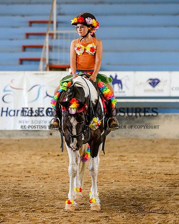 MKGx-2529