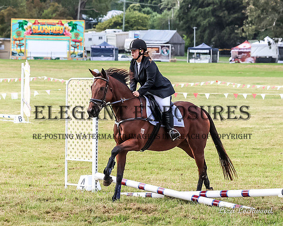 LHL-6538