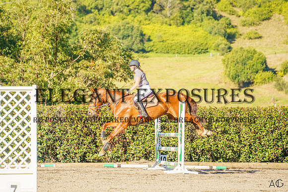 _AJG2397