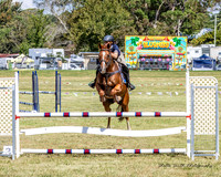 MASX1900
