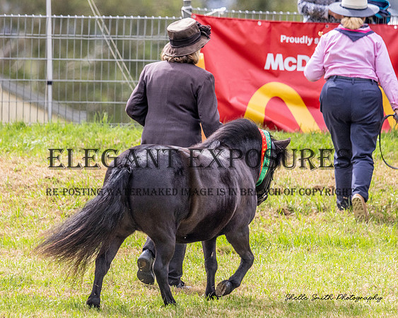 MASX8876