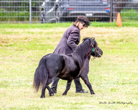 MASZ_4263