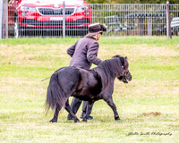 MASZ_4266