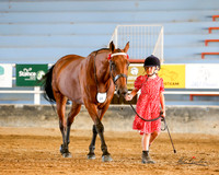 SPPHA - Saturday - Ring 2 - Led Classes - 9.3.2024