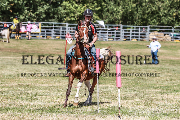 KMS-0073