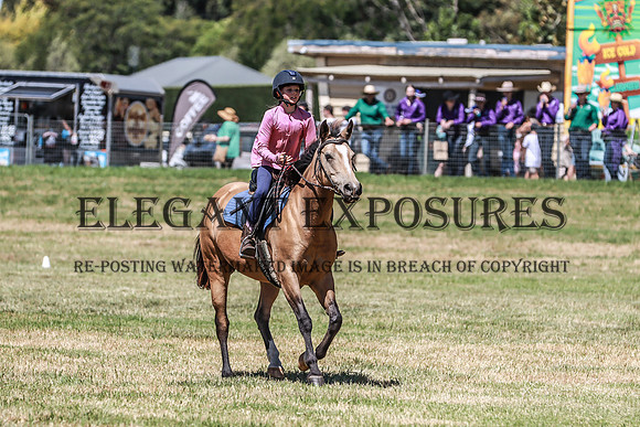 KMS-8219