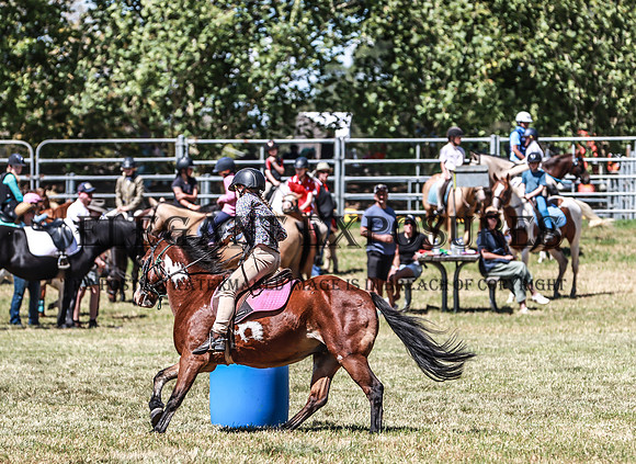 KMS-8253