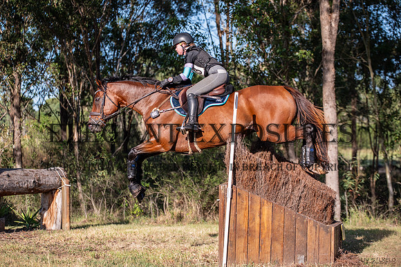 OLS_0559