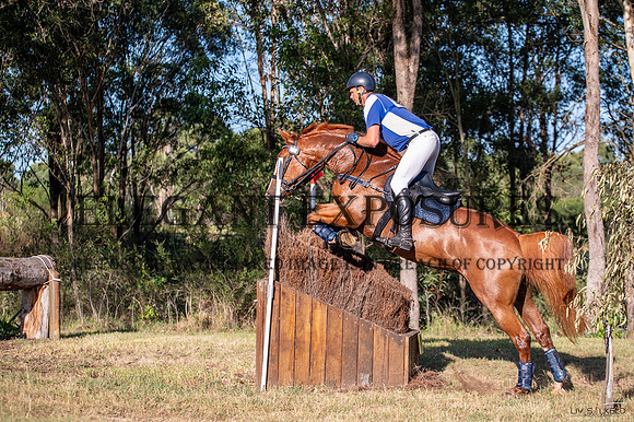 OLS_0584