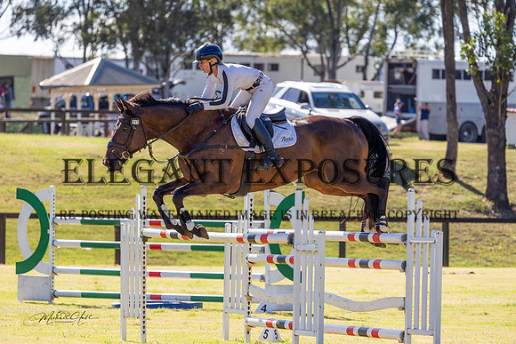 MHP_2271