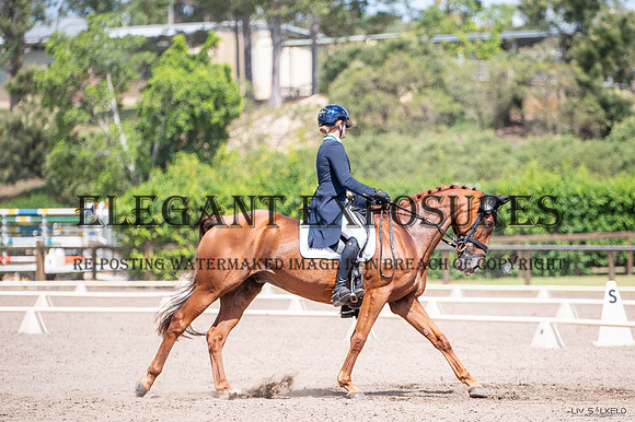 OLS_0113