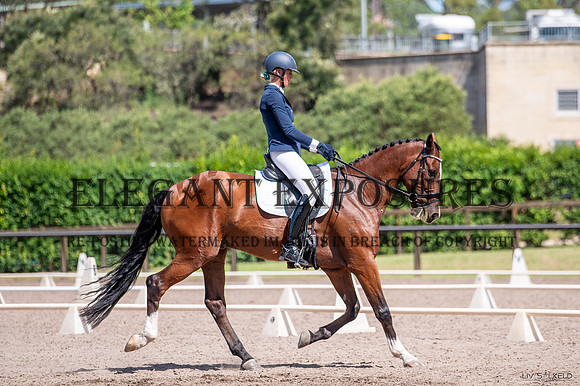 OLS_0255
