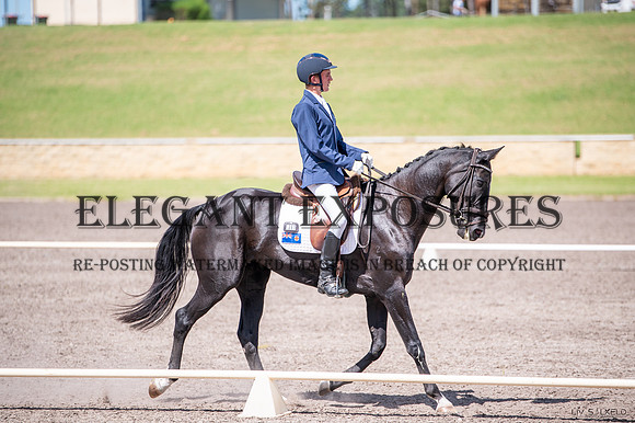 OLS_0173