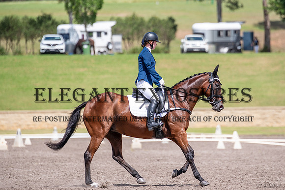 OLS_9782