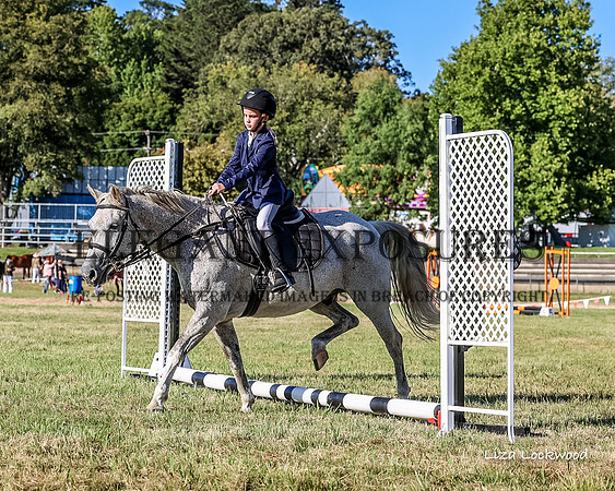 LHL_8293