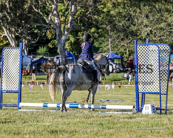 LHL_8288
