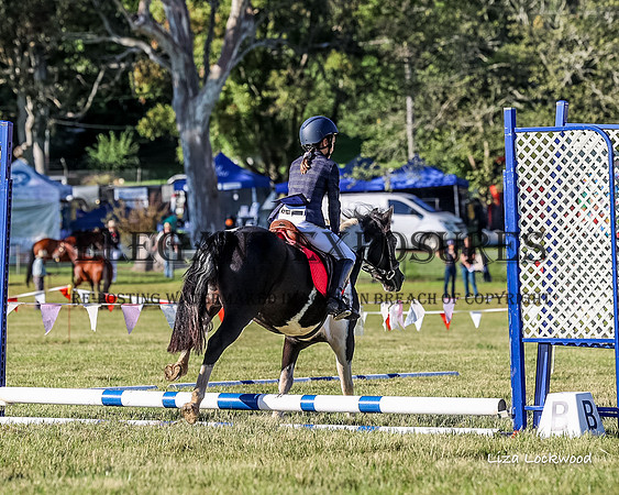 LHL_8252