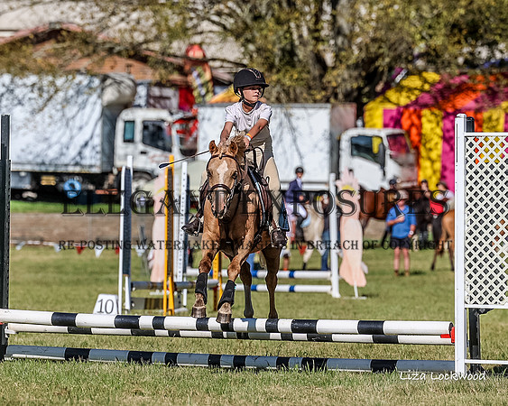 LHL_8348