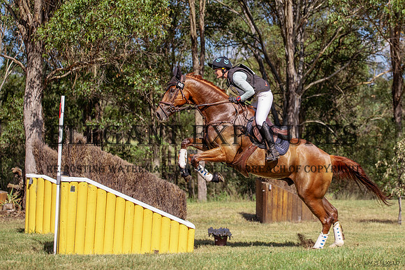 OLS_1197