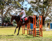 LHL_8617