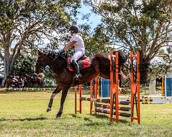 LHL_8617