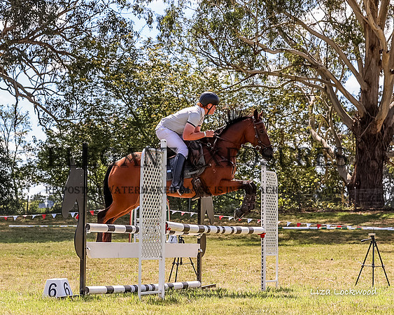 LHL_9506