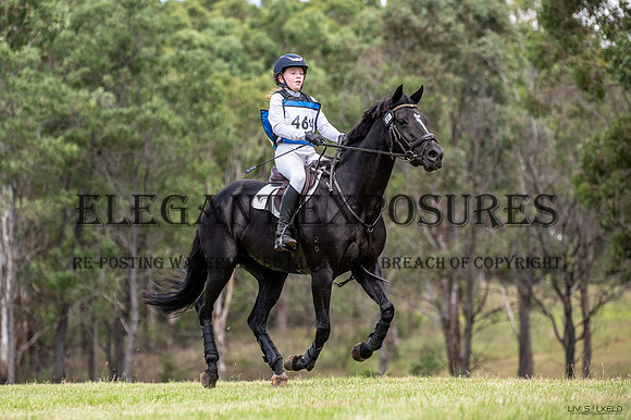 OLS_1662
