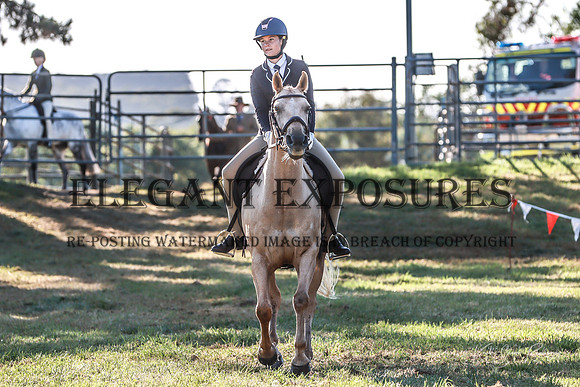 KMS-0575