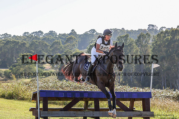 LHL(OS)_0010