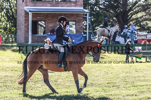 KMS-1940