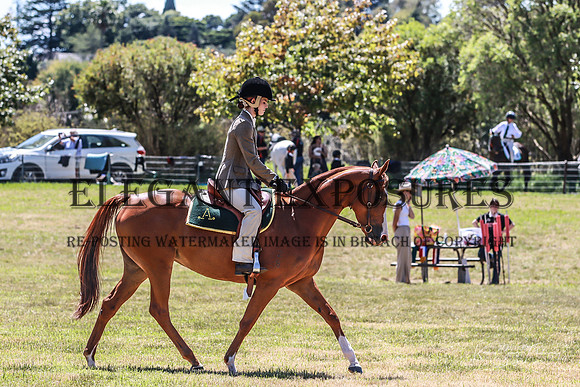 KMS-7905
