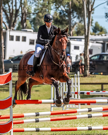 KMS-2847