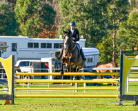 NYK(MG)-8547