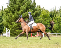 _AJG3262