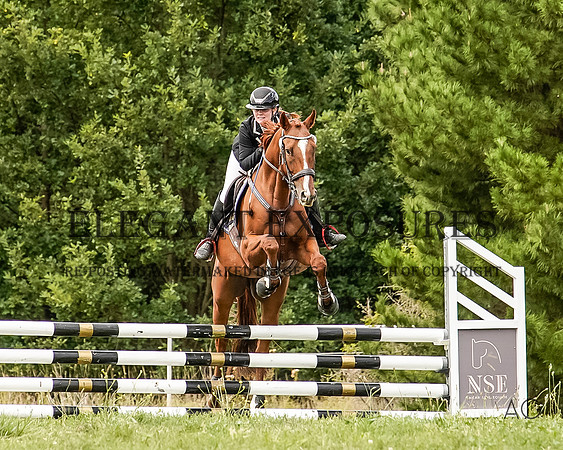 _AJG3331