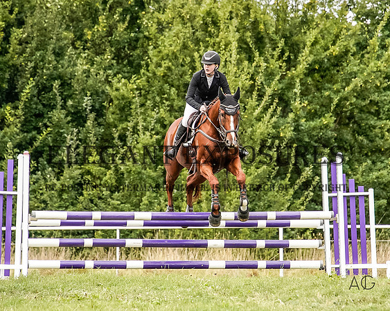 _AJG3345