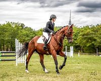 Showjumping