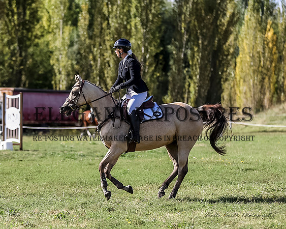 MAS_7608