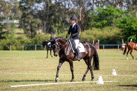 OLS_1179