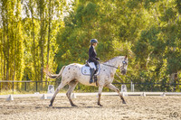 Dressage
