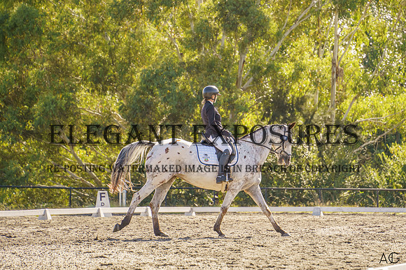 _AJG1772