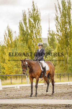 _AJG2015