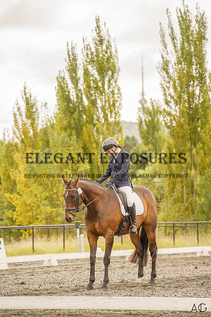 _AJG2016